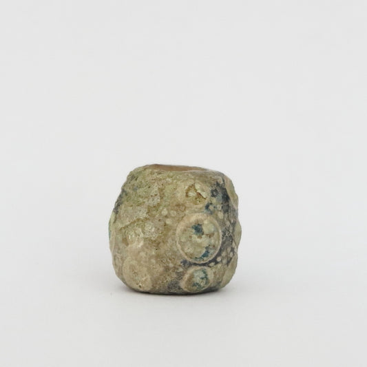 古代中国のアイビーズ