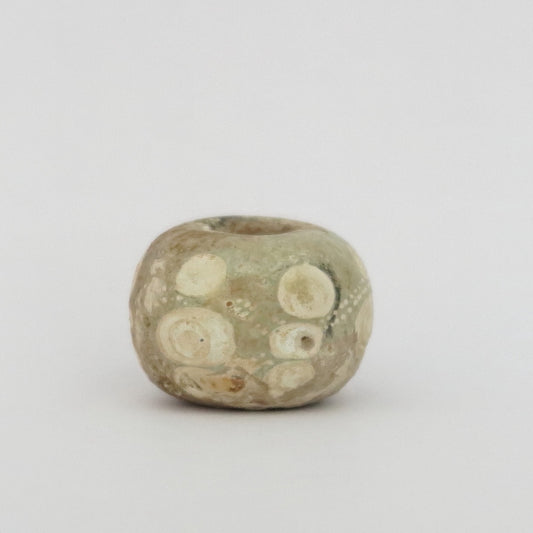 古代中国のアイビーズ