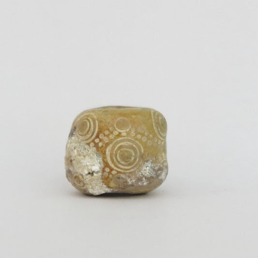 古代中国のアイビーズ