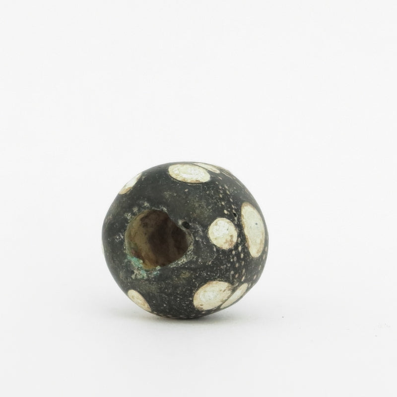 古代中国のアイビーズ