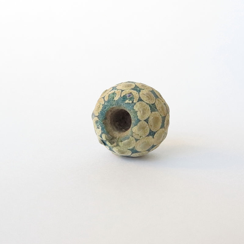 古代中国のアイビーズ