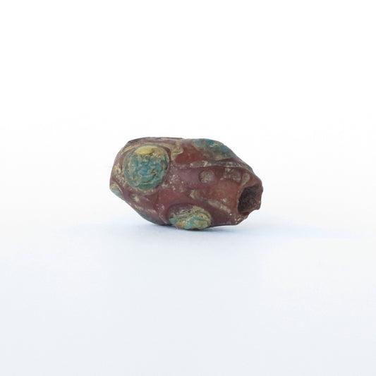 古代中国のアイビーズ