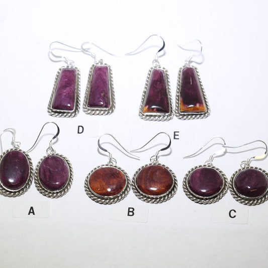 Brincos Espinhosos por Robin Tsosie