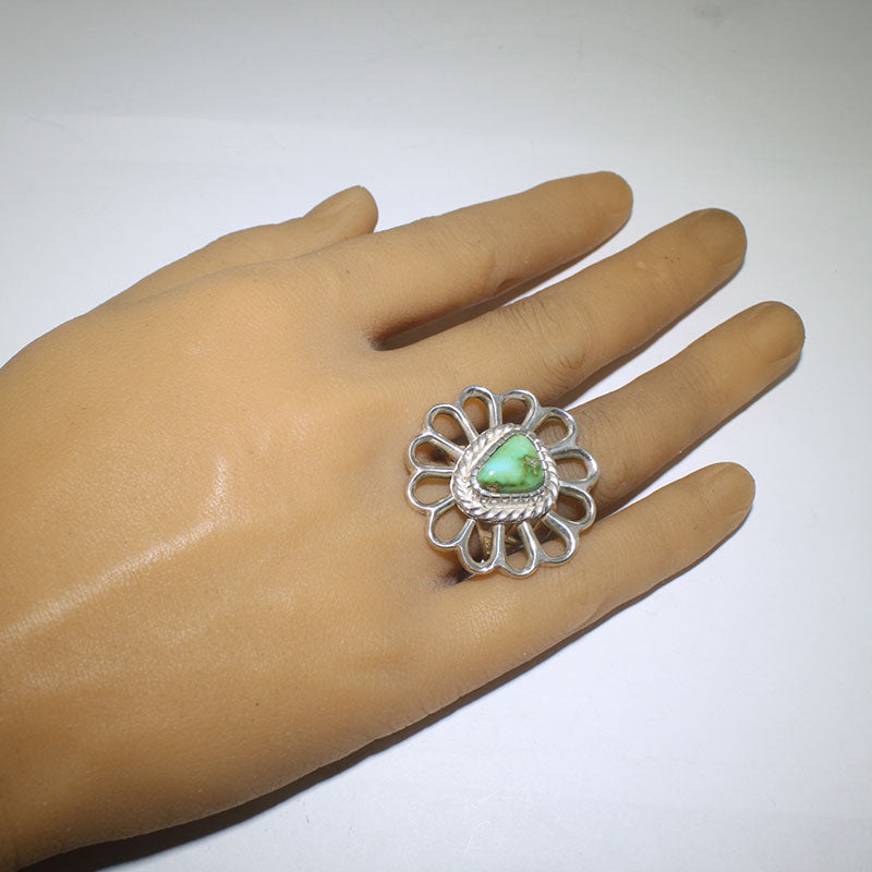 جیسن بیگے کا سونوران رنگ - 7