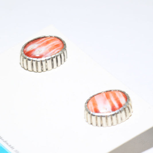 Orecchini Spiny di Jason Begaye