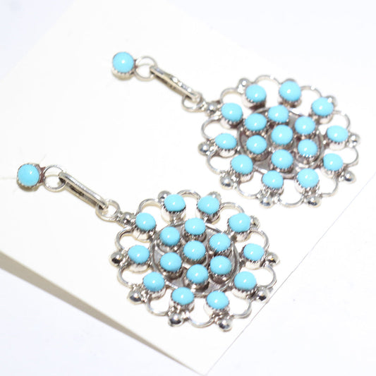 சுனி குழு காது கம்பிகள்