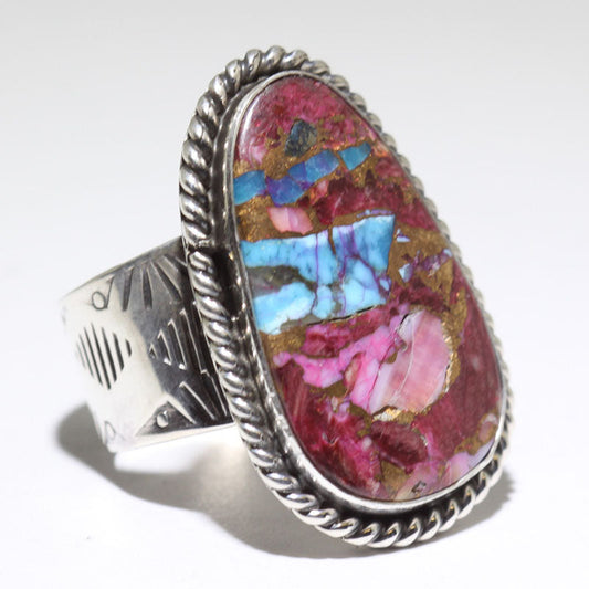 ریوا گڈلک کا موہاوی رنگ - 8