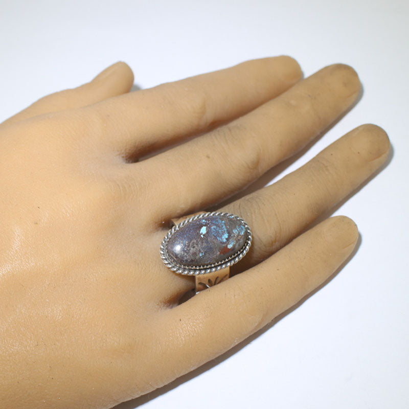 روبن تسوسی کا بس بی رنگ - 9.5