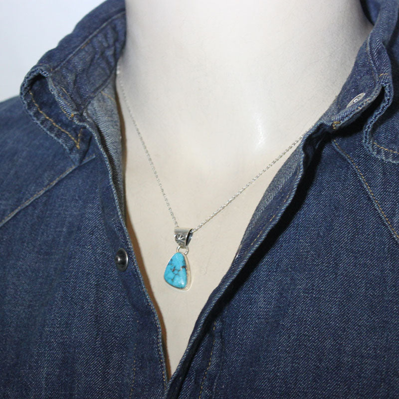 Indiase berg hanger van Robin Tsosie