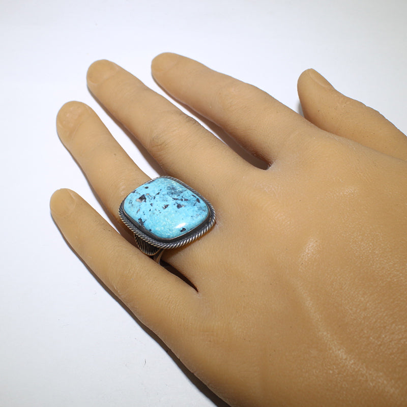 スティーブ・アビソによるインディアンMtnリング - 9