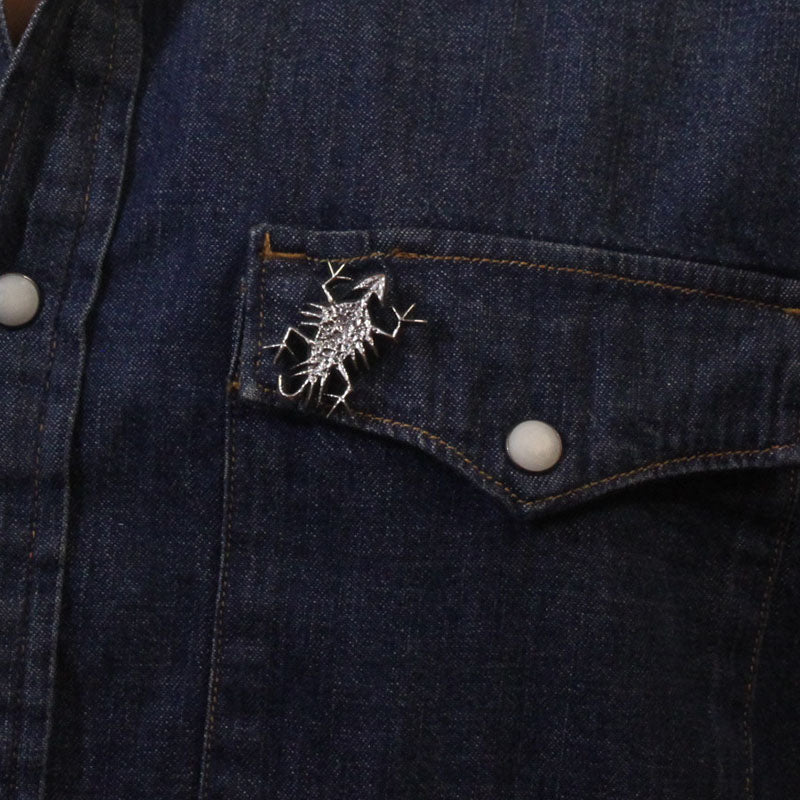 Alfinete de Prata por Aaron Anderson