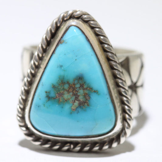 لائل سیکیٹرو کا مورینسی رنگ - 6.5