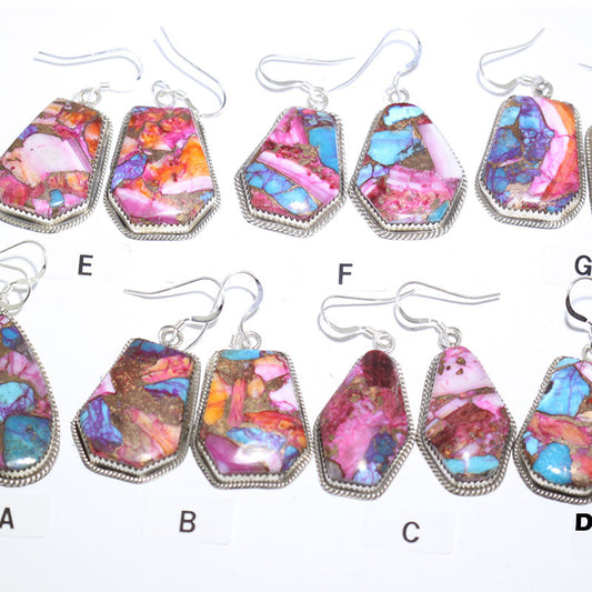 Orecchini Mohave di Robin Tsosie