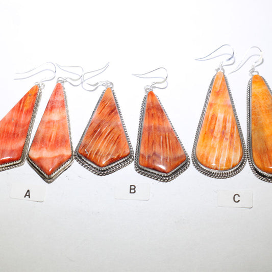 Orecchini Spiny di Robin Tsosie