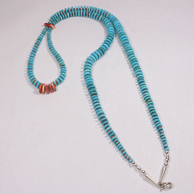 カールン・グッドラックによるブルーリッジ・ストランド