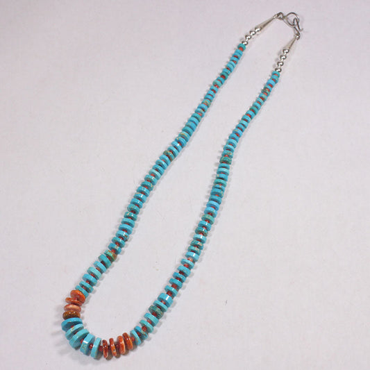 カールーン・グッドラックによるブルーリッジストランド