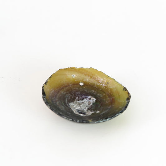 古代ローマのガラス片