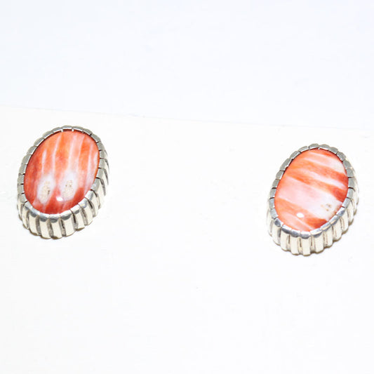 Spiny Earrings by Jason Begaye