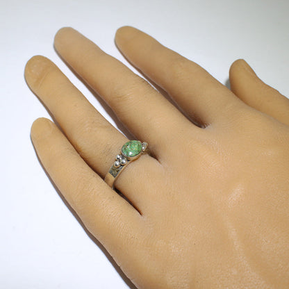 Cincin Sonoran oleh Steve Arviso- 8