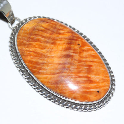 Spiny Pendant ni Robin Tsosie