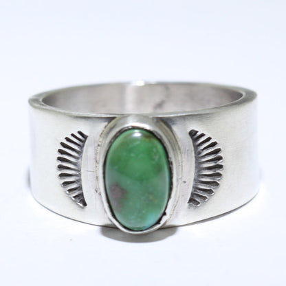 Cincin Sonoran oleh Steve Arviso- 11