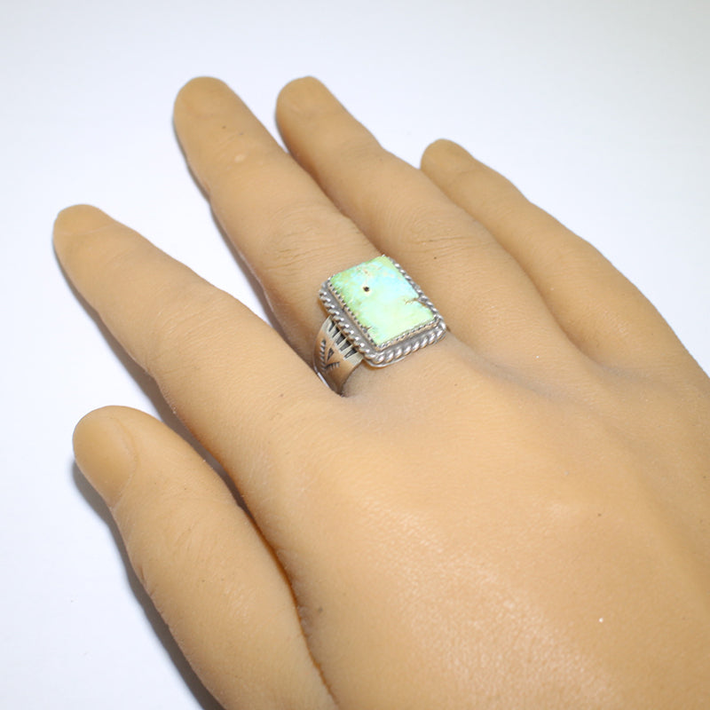 Cincin Sonoran oleh Robin Tsosie - 10