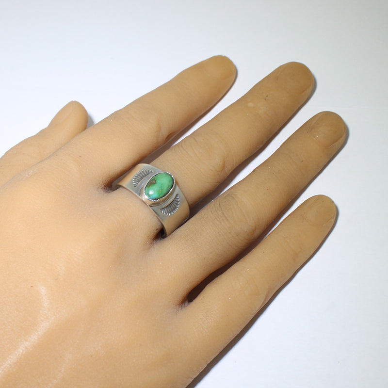 Cincin Sonoran oleh Steve Arviso- 11