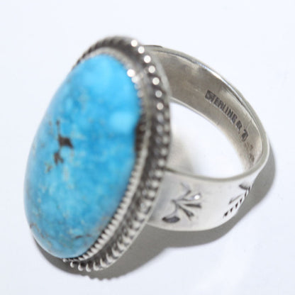 Egyptische Ring door Robin Tsosie - 10.5