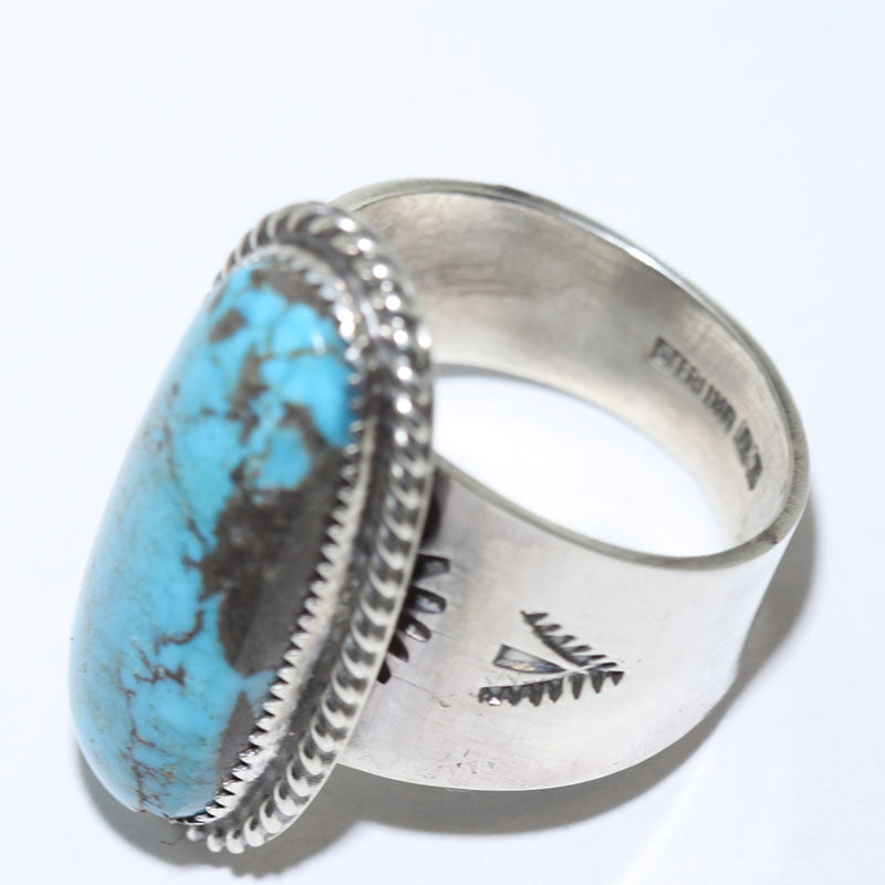 羅賓·措西的埃及戒指- 13