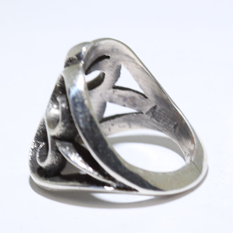 亚伦·安德森的银戒指 - 9