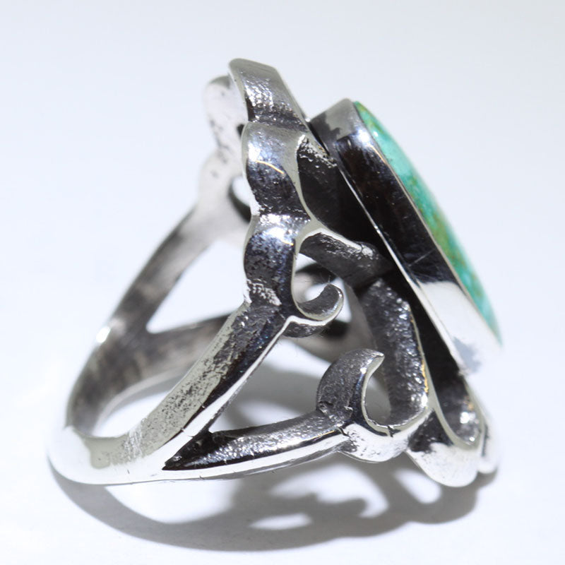 亞倫·安德森的索諾蘭戒指- 9