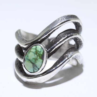 Cincin Sonoran oleh Aaron Anderson- 6