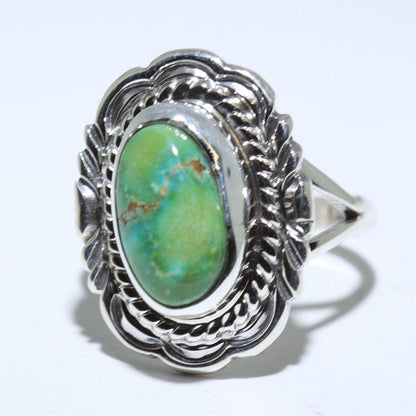 Anello Sonoran dei Navajo