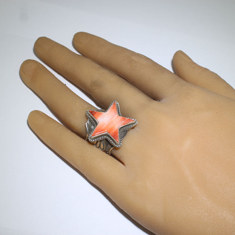 Cincin Bintang oleh Andy Cadman- 9